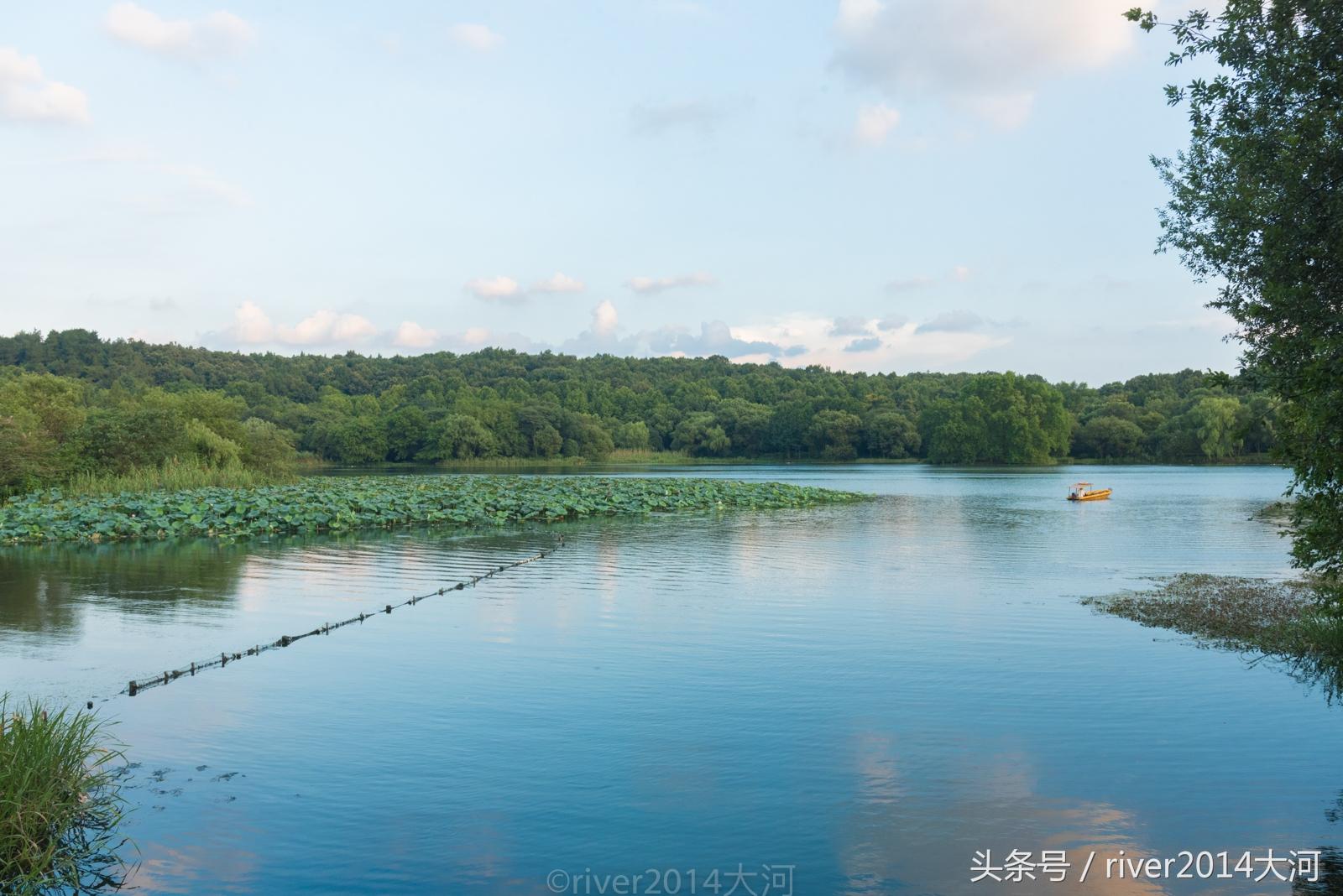 自然美景之旅，探索内心平静的力量与最新投票揭晓