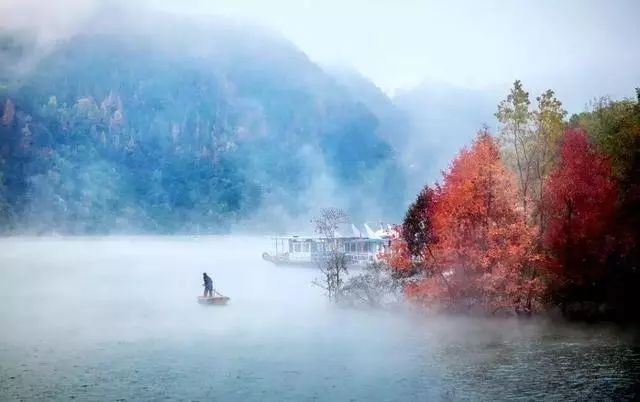废铅价格最新行情，心灵与自然的美景之旅同步更新
