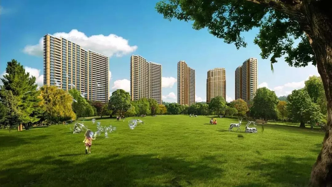 最新房市政策下的心灵探索，自然美景与内心平静的追寻艺术