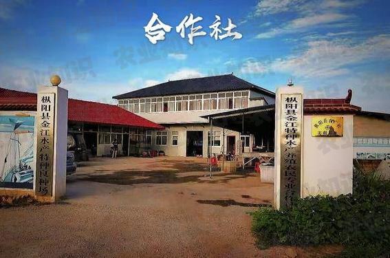 合作社最新政策下的温馨日常风采展示