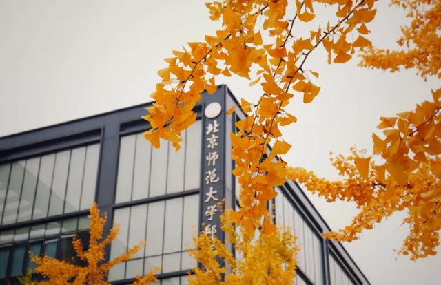 北师大，教育新高地，引领未来之路
