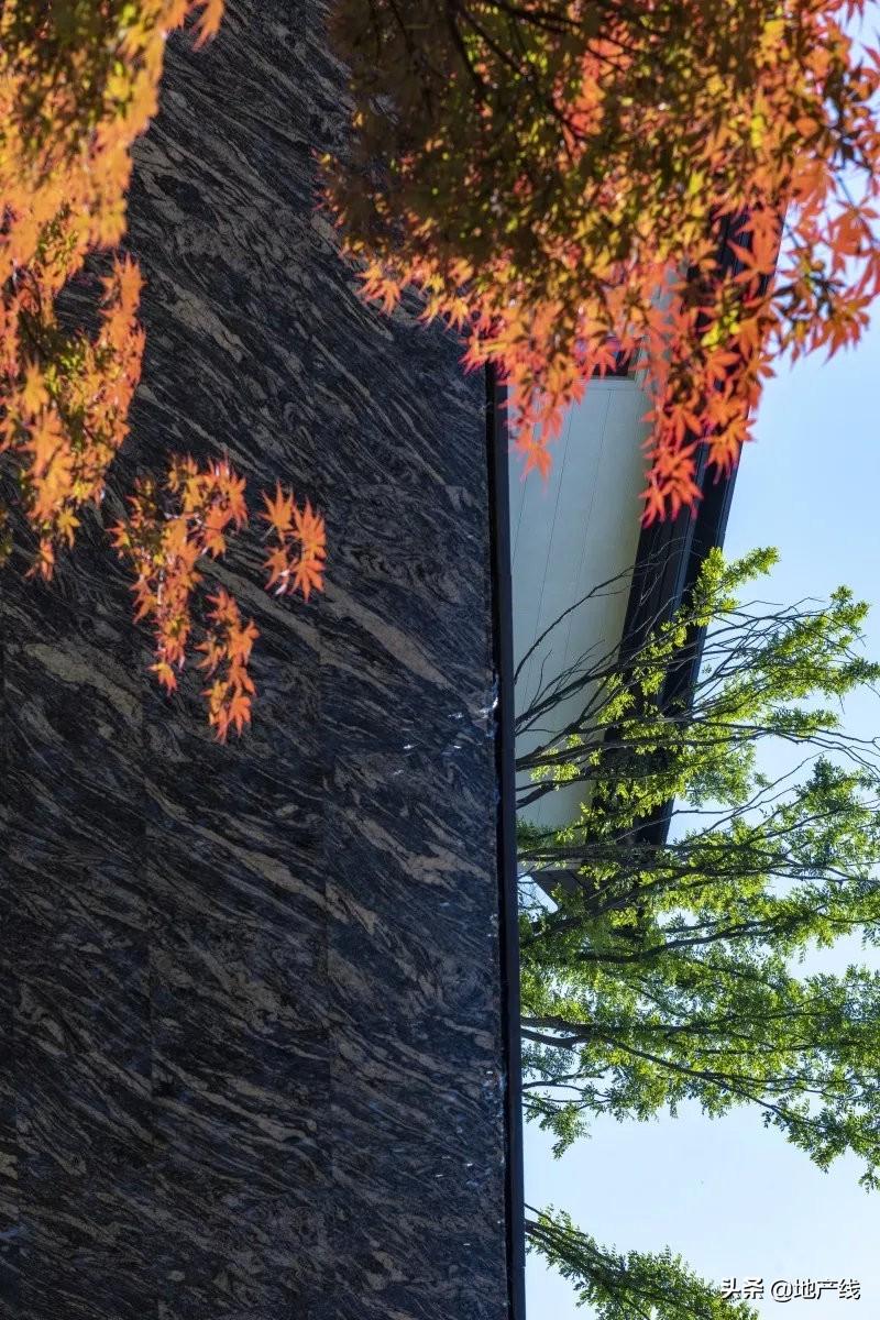 南京高科最新动态更新📢城市新进展展望🌆