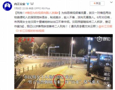 最新电影观看网址，详细步骤指南与在线观影体验分享