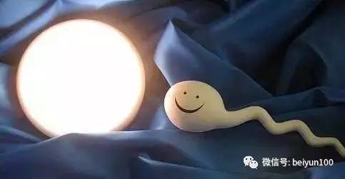 精子窝最新地址揭秘，一段温馨有趣的日常故事开启！