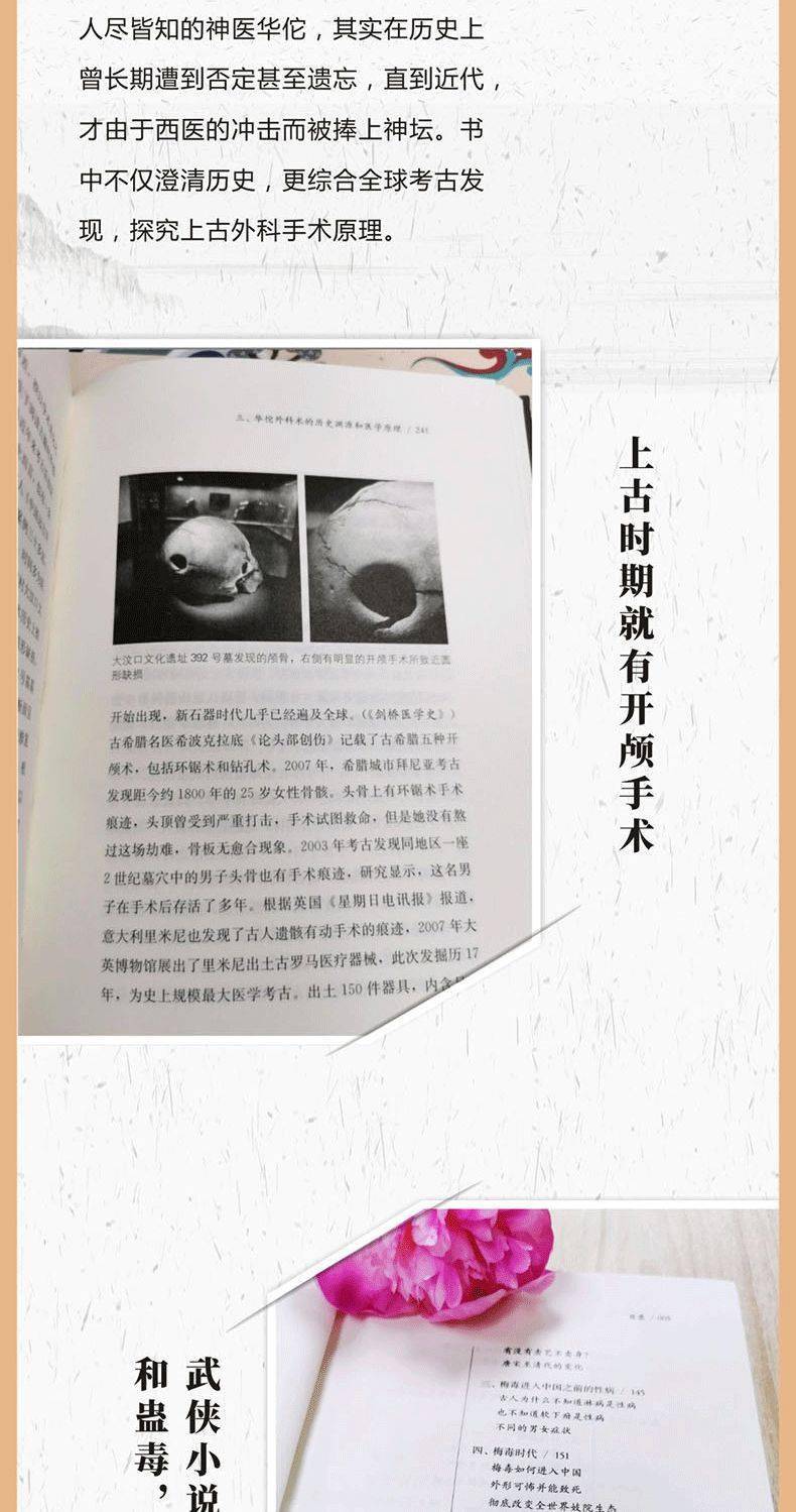 最新儿歌下载，小巷音乐宝藏探寻之旅