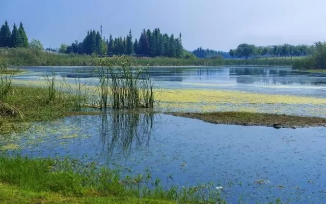 博爱湖最新动态，自然美景探索之旅，寻找内心平和与宁静的旅程