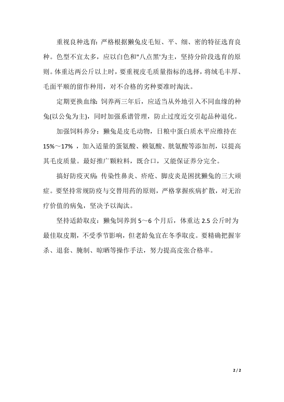 獭兔最新市场动态与行情分析