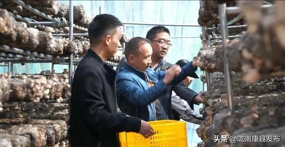 新能源汽车 第9页
