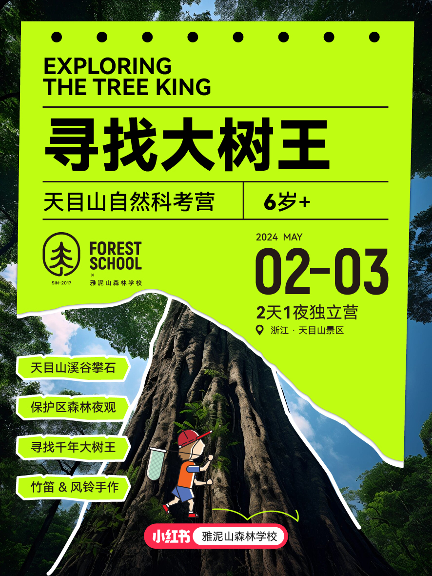 最新王卡，轻松启程，探索自然美景之旅