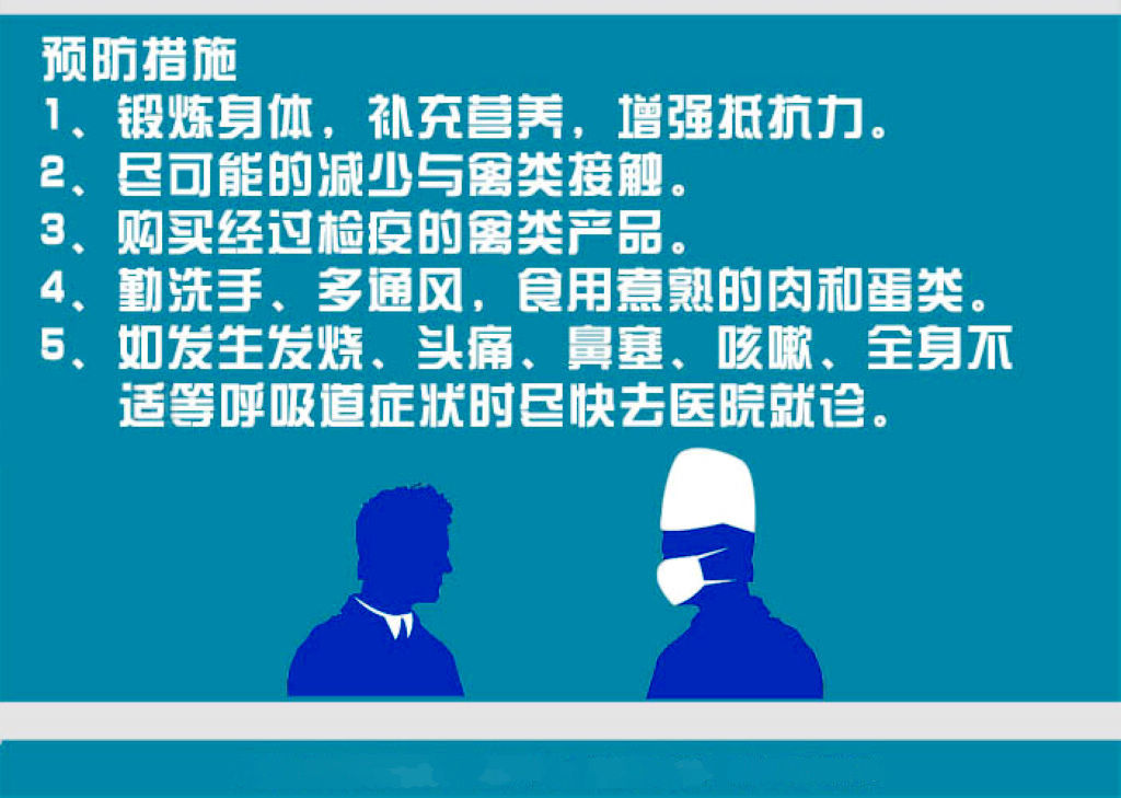 禽流感最新动态，全面步骤指南与最新报道速递