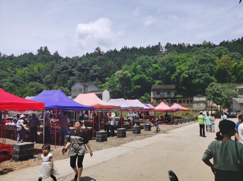 桃江竹海车祸最新消息及其观点论述