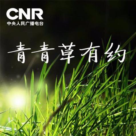 最新青青草视频，追梦者的专属选择