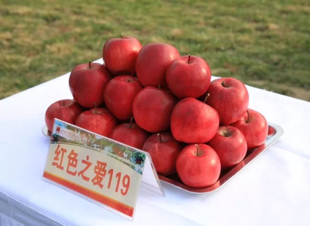 红宝石甜苹果最新动态，自然美景探索之旅，寻找内心平和与喜悦的旅程
