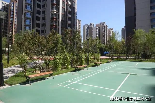 北京朝阳棚改最新动态，探索自然美景的旅程启程