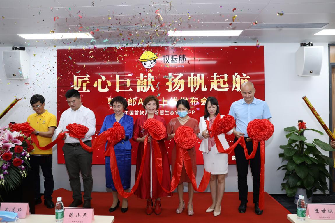 科技巨献,最新电影网站在线观看,观影新纪元