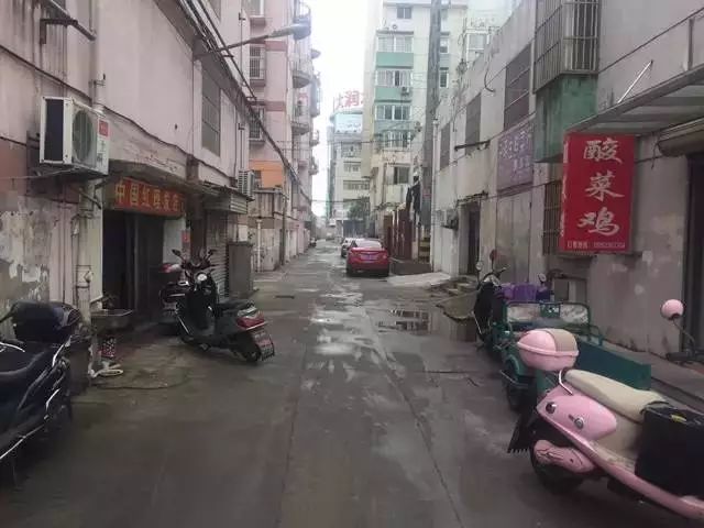 郑港办事处最新动态,小巷深处的独特风味揭晓