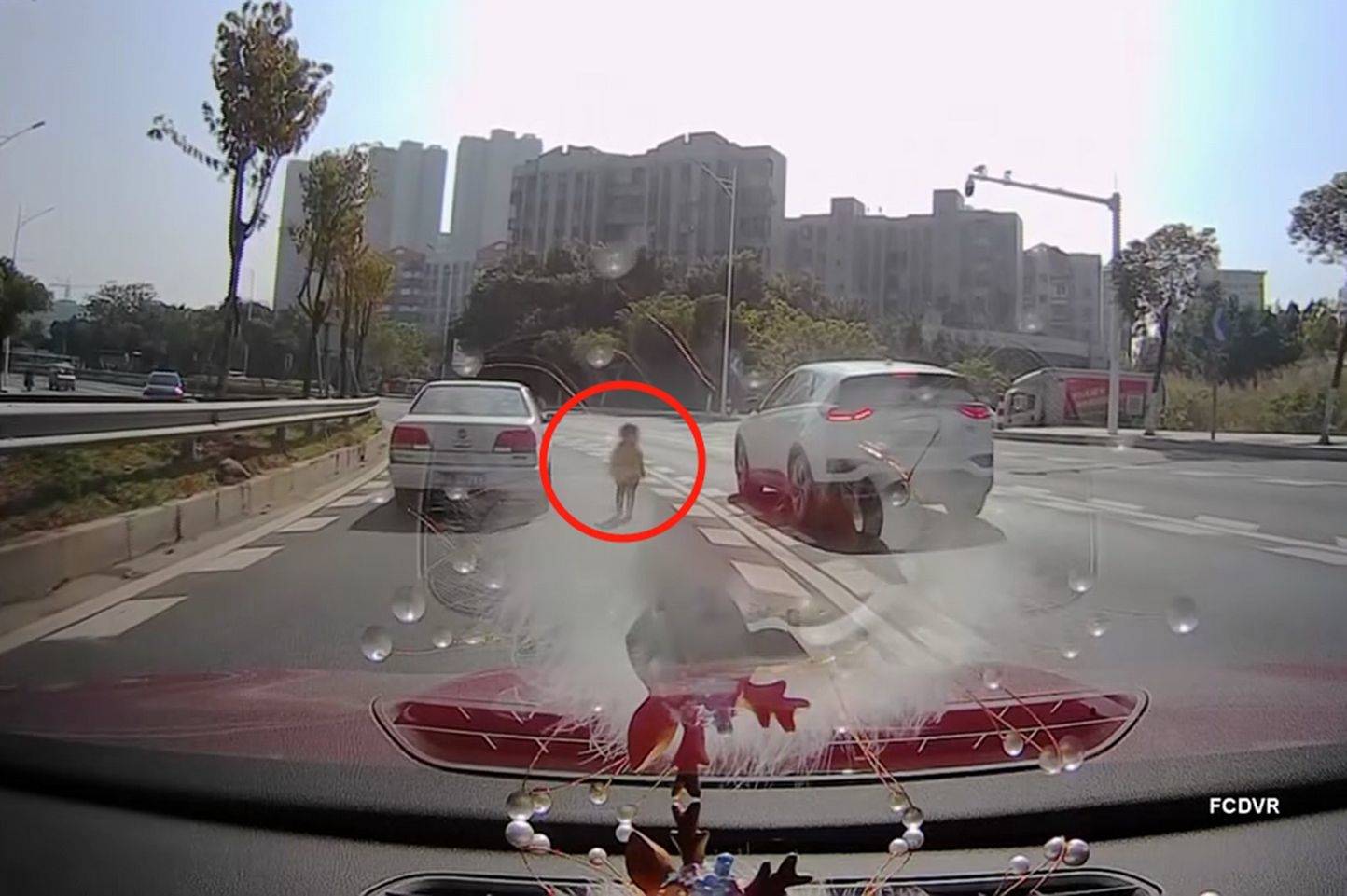 东莞抱车司机最新招聘信息,东莞抱车司机最新招聘信息——小巷深处的特色小店等你来发现!