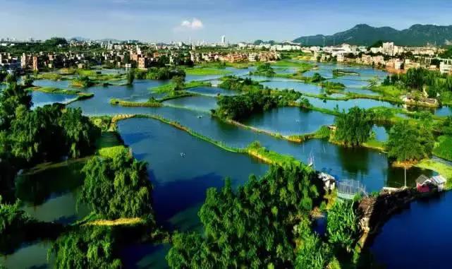 清远发展规划更新资讯，最新动态揭秘