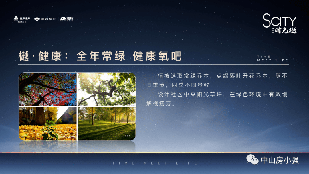 最新整容技术的深度分析与阐述