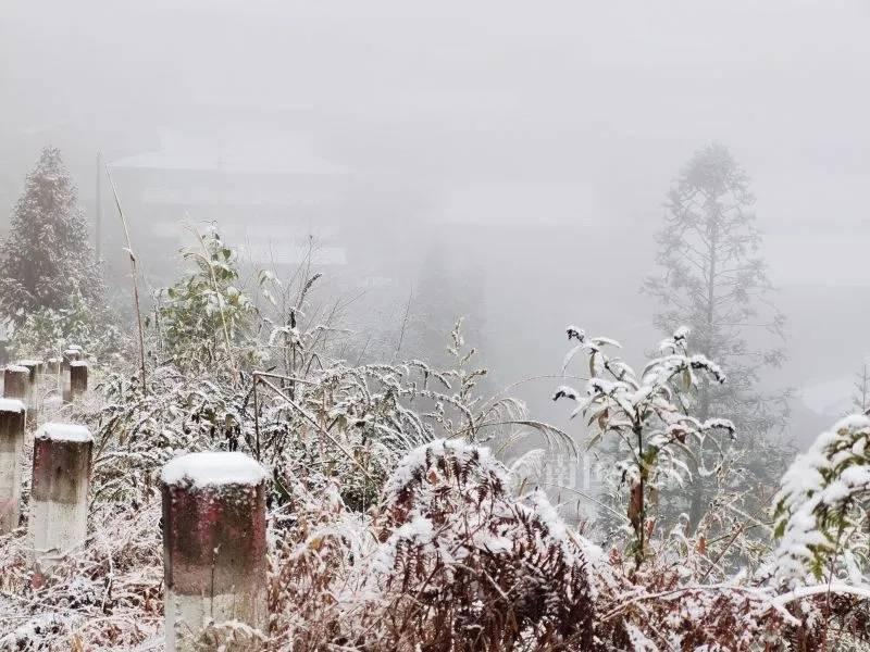 南宁最新天气,阳光下的励志故事,变化中的自信与成就