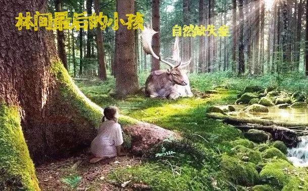 海尔最新款法式,自然美景的探索之旅
