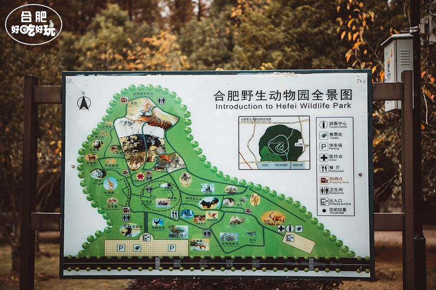 合肥动物园最新变化,启示与自我超越之旅