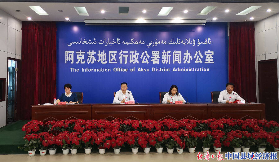 新疆阿克苏最新动态,观点论述揭秘最新情况