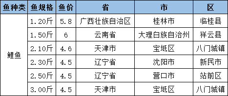 今日鱼价概览,最新价格、市场走势与消费建议