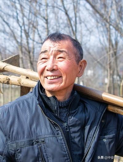 萧县新闻网实时更新,最新消息汇总