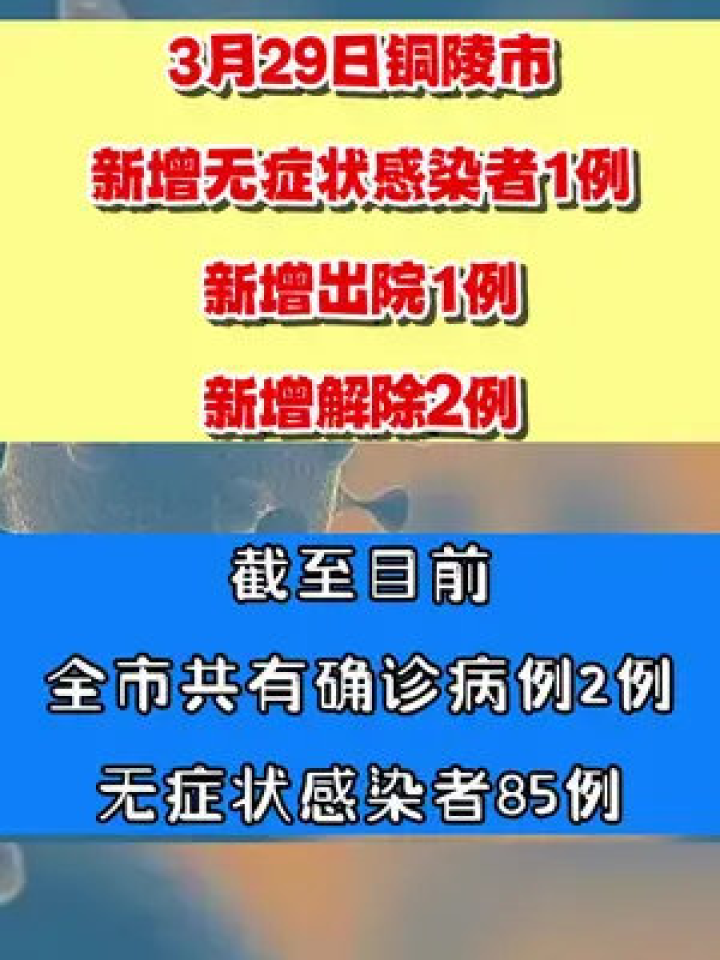 枞阳最新新闻报道更新速递