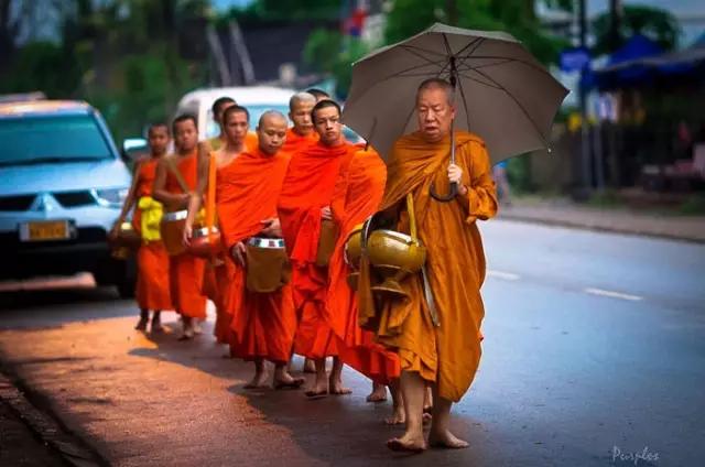 自然探索之旅 第2页