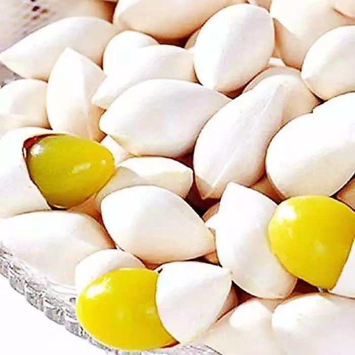 ST长生最新动态,自然美景探险之旅,探寻内心的平和宁静