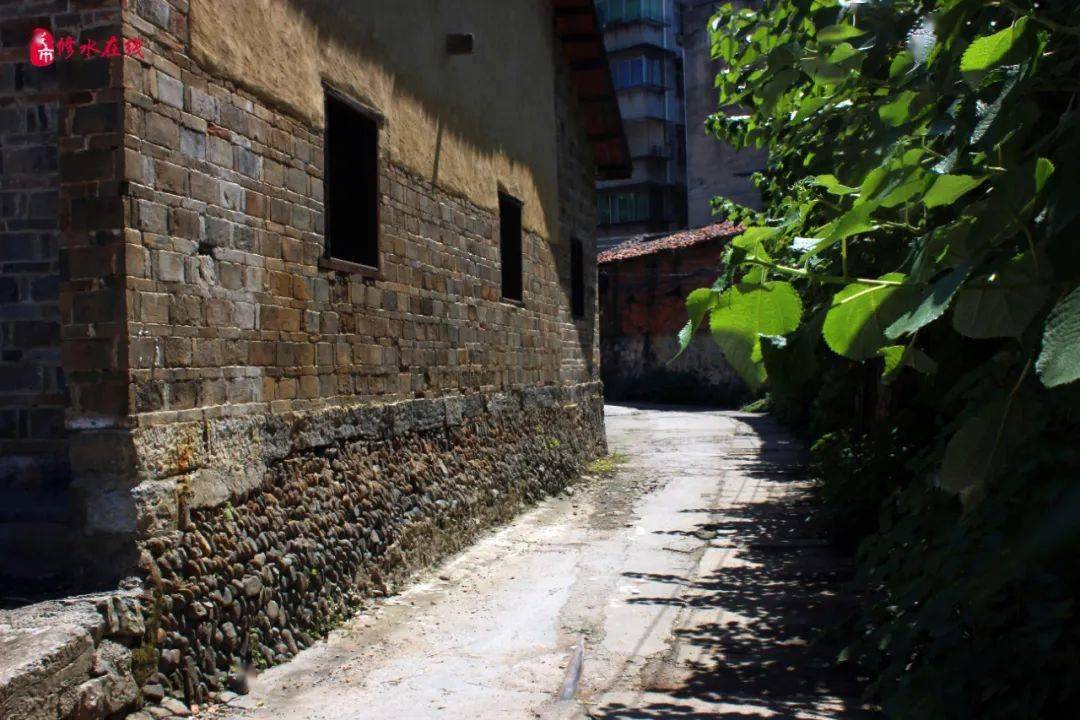 修水最新动态,小巷深处的独特风味揭秘