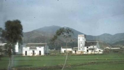 布吉新区最新动态，小巷深处的惊喜发现