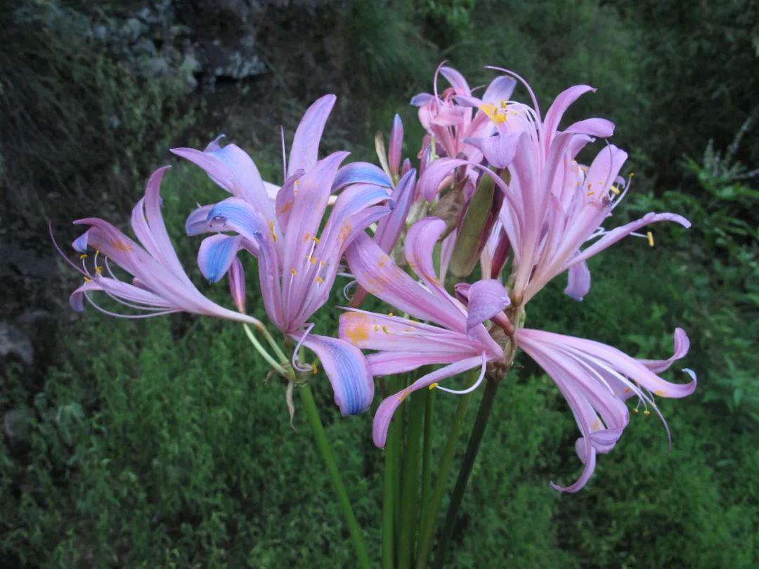 动画电影最新上映,开启视觉盛宴新篇章