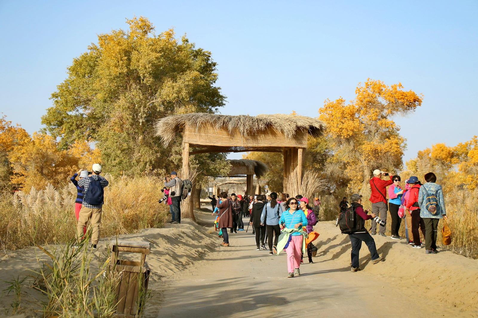 动画电影最新上映,开启视觉盛宴新篇章