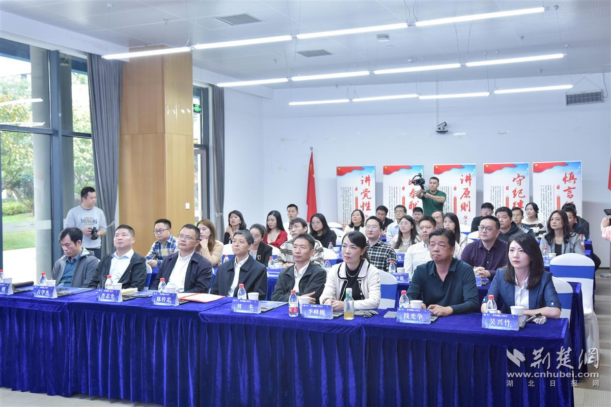 黄陂最新新闻更新速递