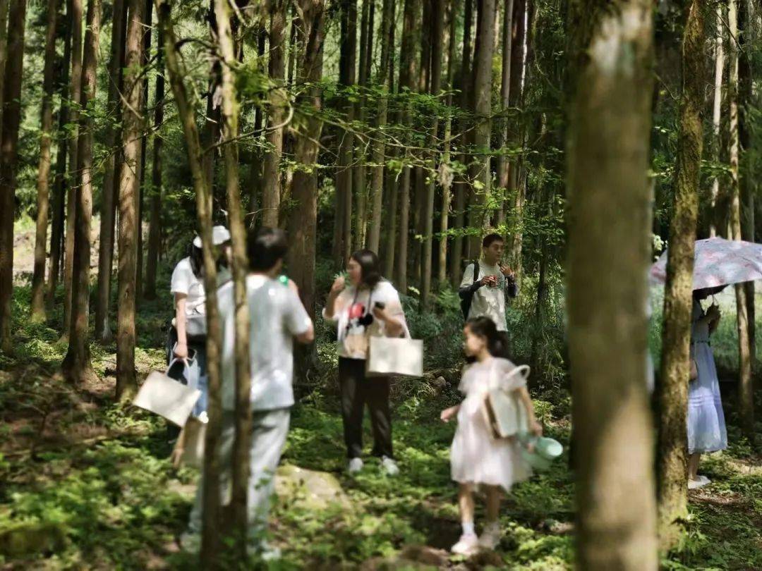 最新种子番号,自然美景探险之旅,追寻内心的平和与喜悦