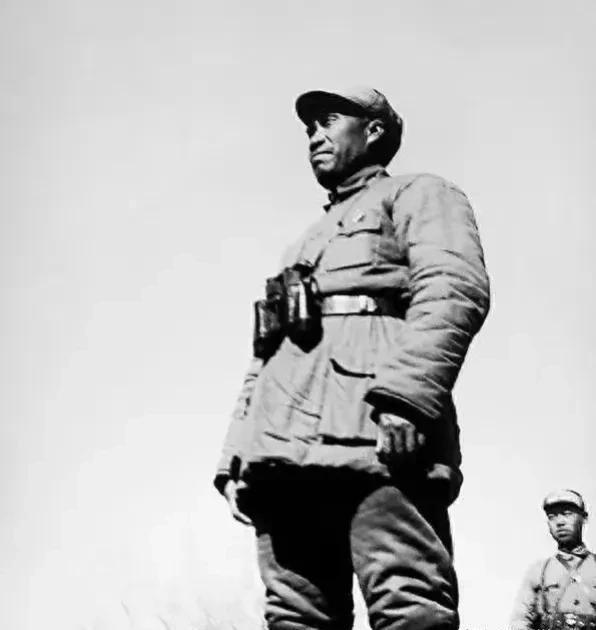 洛阳最新发展,探寻自然美景之旅,追寻内心平和与宁静的旅程