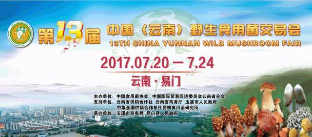 奎屯最新招聘信息,启程探索自然美景,寻找内心平和的职场家园