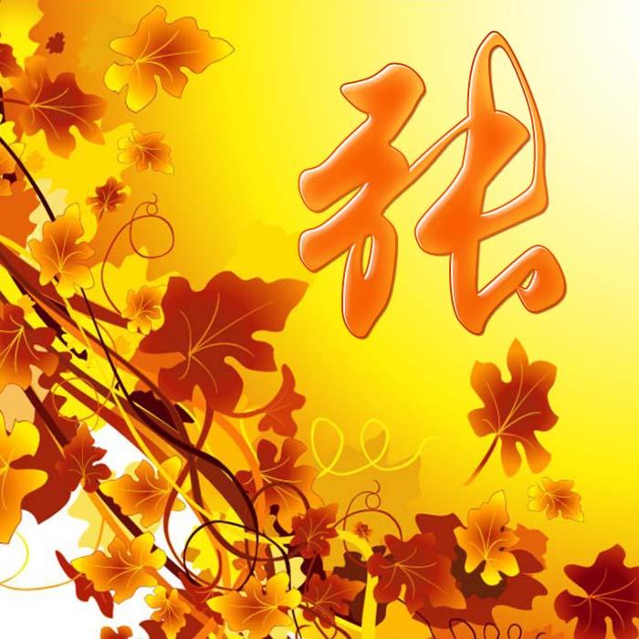 探寻中国姓氏文化的时代变迁,百家姓最新版解析