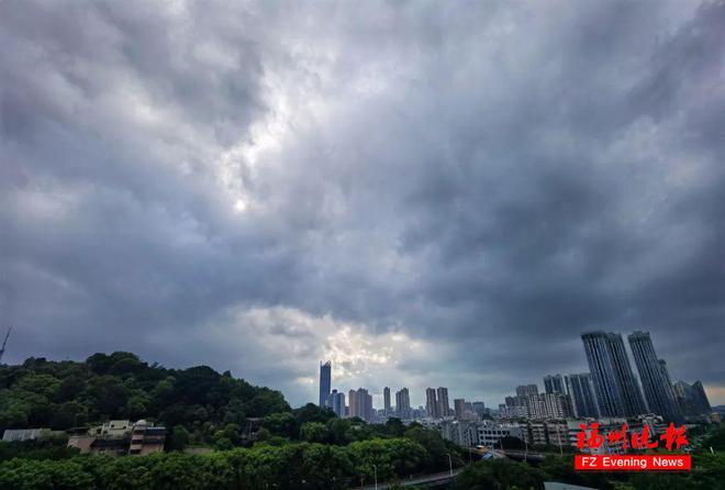 厦门暴雨实时更新,风雨中的励志故事