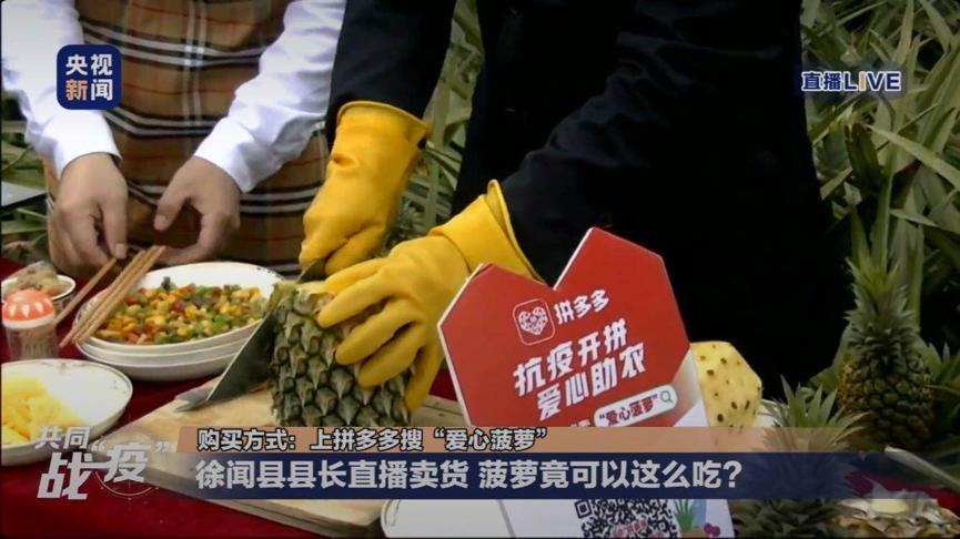 徐闻最新新闻报道