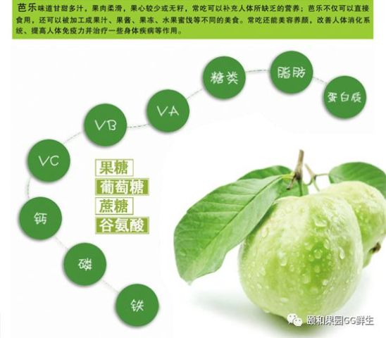 芭乐最新章节探索与解析大全