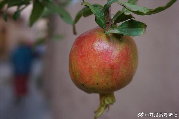 草榴最新地,观点碰撞与个人立场的阐述