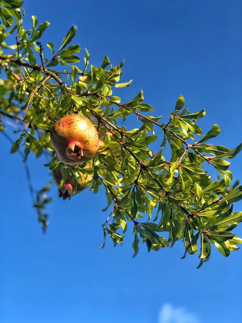 草榴最新地,观点碰撞与个人立场的阐述
