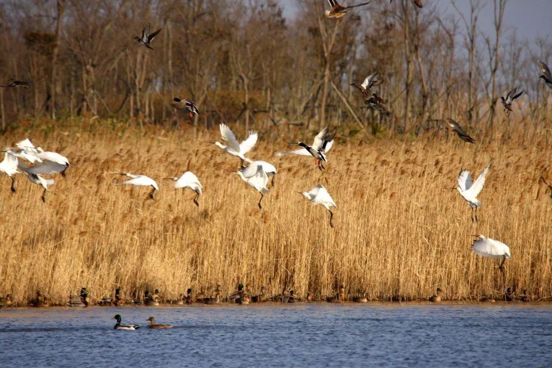 最新刑事责任年龄下的探索之旅,与自然美景的约定之旅