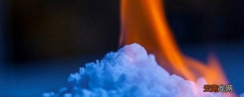 可燃冰最新动态,小巷深处的隐藏宝藏探秘