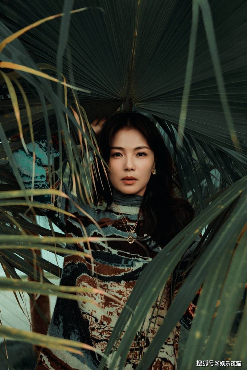 刘涛最新写真,自然之旅的心灵探索,寻找平和与喜悦的旅程