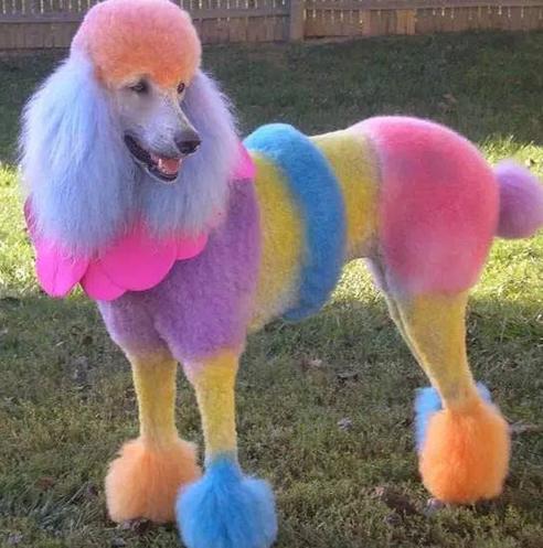 最新QQ皮肤,变化中的自我,学习带来的自信与成就感的时尚表达